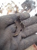 IMG_20201203_115104.jpg