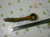 DSCN4529.JPG