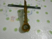 DSCN4531.JPG