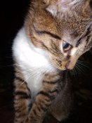 IMG_20201201_202900.jpg