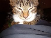 IMG_20201201_202948.jpg