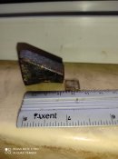 IMG_20201205_113414.jpg