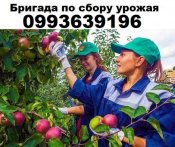 ED74C3A8-9080-42D2-B077-116C460FFAC6.jpeg