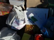 20201205_120353.jpg