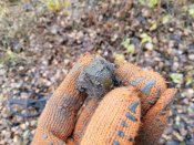 IMG_20201129_124928.jpg