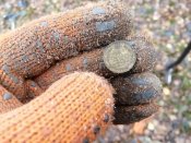 IMG_20201201_100209.jpg