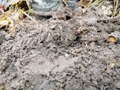 IMG_20201201_130057.jpg