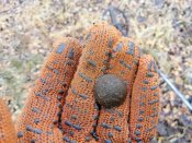 IMG_20201124_140736.jpg