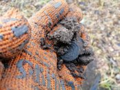 IMG_20201124_141810.jpg