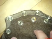 DSC05955.jpg