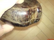 DSC05950.jpg