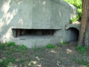 DSC01882.jpg