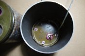 DSC04369.JPG