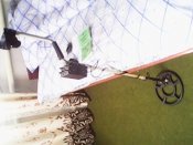 IMG0135A.jpg