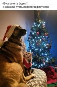 изображение_viber_2020-12-08_17-14-211.jpg