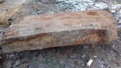 20201206_132043.jpg