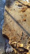 20201206_140641.jpg