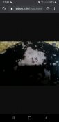 Screenshot_20201209-154650_Chrome.jpg