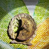 20201209_175816_HDR-1.jpg
