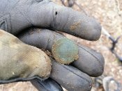 IMG_20201204_114914.jpg