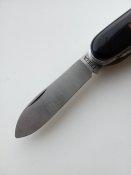IMG_20201211_082920.jpg