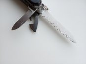 IMG_20201211_083047.jpg
