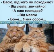 изображение_viber_2020-12-11_11-08-27.jpg