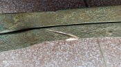 IMG_20201211_135147.jpg