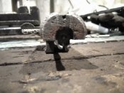 IMG_20201211_171321.jpg