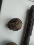 IMG_20201212_103132.jpg