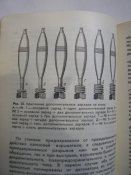 P1010416.JPG