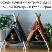 изображение_viber_2020-12-14_09-42-11.jpg