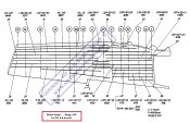 RippenSigmenteFlugelA-6bisA-8Oben.jpg