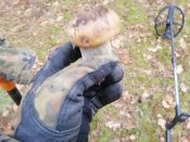 IMG_20201214_083423.jpg
