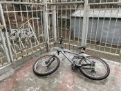 IMG_000.jpeg