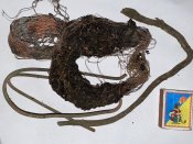 IMG_18.jpeg