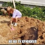 5c349faf82a90_.thumb.jpg.39d4204baf3ac1ff16e34364b4b732e1.jpg
