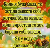 изображение_viber_2020-12-15_11-59-241.jpg