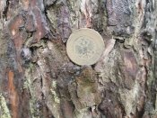 IMG_20201215_111706.jpg
