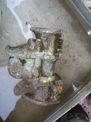 IMG_20201215_091535.jpg