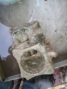IMG_20201215_091543.jpg