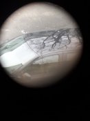 20201215_094902.jpg