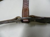 DSCN8380.JPG