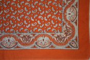 orange (2).jpg