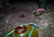 dsc05011.jpg