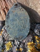 Жетон SS AR.5 див."Викинг".