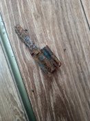 IMG_20201219_150454.jpg