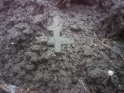 IMG_20201219_123126.jpg