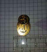 Значок франчик DOSB "Gold" (сучасний наступник значка DRL)