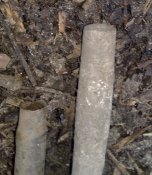 30032013481.jpg